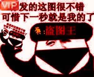 熊猫头盗图动态表情-vip-真·盗图王gif-熊猫头,盗图表情包