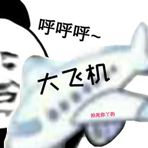 熊猫头玩飞机表情包-呼呼呼_大飞机