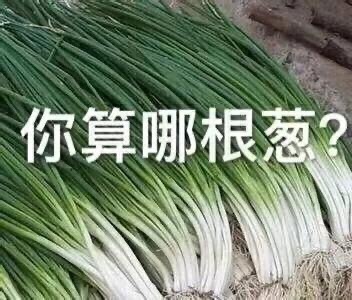 嘲讽表情包-你算哪根葱-嘲讽表情包,算什么东西,食物表情包
