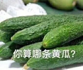 嘲讽表情包-你算哪根肉丝-嘲讽表情包,算什么东西,食物表情包