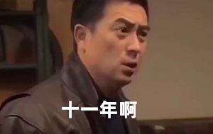我十六岁我进工厂,二十七岁我被工厂开除,十一年啊！-你是我兄弟,张嘉译动图,十一年