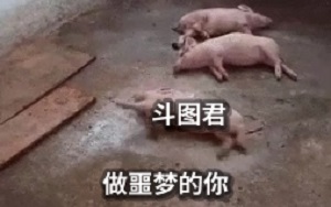 斗图君,做噩梦的你-猪,搞笑动图,动物世界