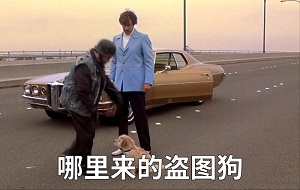 [名场面]一脚把盗图狗从桥上踢飞：qnmd 