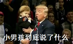 你有什么话想对我说吗？,甘霖娘,小男孩,特朗普-恶搞剪辑,小男孩,恶搞特朗普