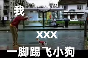 [路人恶搞]引诱狗并一脚踢飞小狗