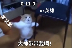 大神带带我啊！,0-11-0,某某某,xx英雄-猫咪,搞笑