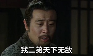 [新三国]我二弟天下无敌_只有他杀敌的份_怎么可能被敌人杀