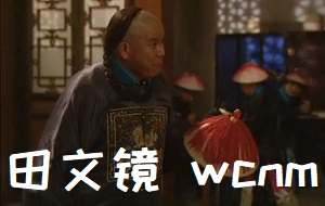 [雍正王朝]马国成骂田文镜：我草泥马我c尼玛_你TM一个监生出身_凭什么在这儿耀武扬威啊