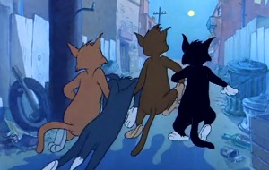 [猫和老鼠]三只猫托着沉睡的汤姆猫去happy