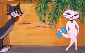 汤姆猫,白猫-猫和老鼠,汤姆,gif,动图,搞笑