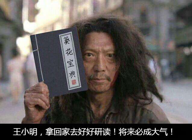 20本武功秘籍装x